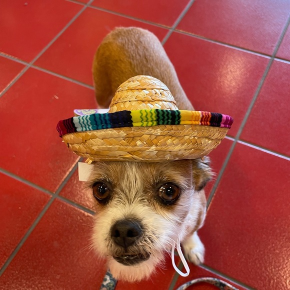 Meet your Posher, Angela - Picture 2 of 3